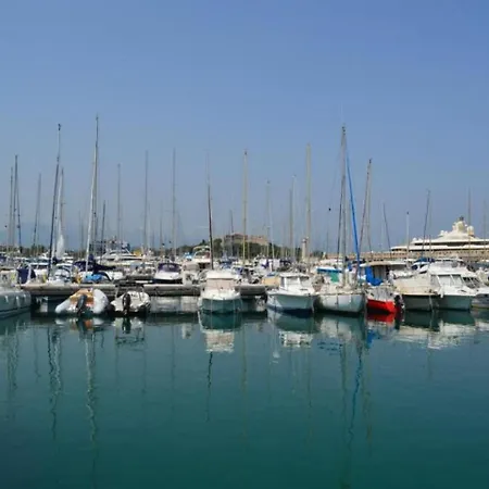 Soleil D'or *